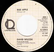 7'' - David Wilcox - Bad Apple