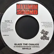 Daville / Ward 21 - Blaze The Chalice / Ain't No Fun