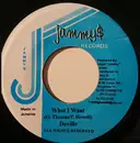 7inch Vinyl Single - Da'Ville - What I Want