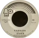 7inch Vinyl Single - Dawn - Candida / Look At...