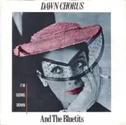 Dawn Chorus & The Blue Tits