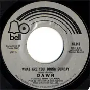 Dawn Featuring Tony Orlando - What Are You Doing Sunday