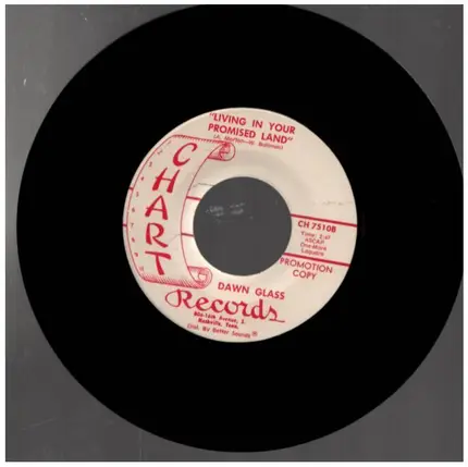Dawn Glass - Living in your promised land / Pour a little water on the flowers