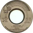 7inch Vinyl Single - Dawn - Candida / Look At...
