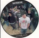 7inch Vinyl Single - Daybreak - Frozen Wintered Realms Of My Moonlit Record Collection - picture disc