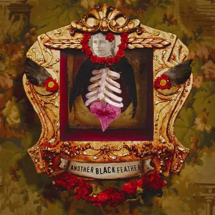 Dayna Kurtz - Another Black Feather
