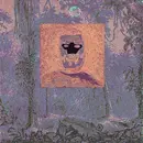 12'' - Daze Maxim - Flash, Anavi