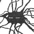 D-Bridge - The Gemini Principle