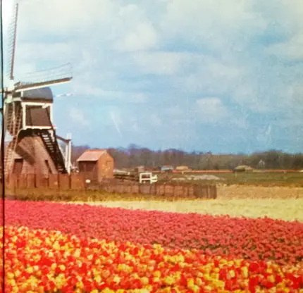 De Kermisklanten - Tulpen Aus Amsterdam