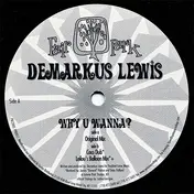 Demarkus Lewis - Why U Wanna?