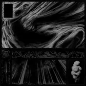 Calf - Demikhov​/​Calf​/​Feedbacker Split