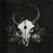 Demon Hunter - Summer of Darkness