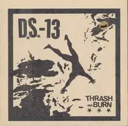 Demon System 13 - Thrash And Burn