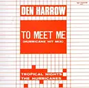 12inch Vinyl Single - Den Harrow / The Hurricanes - To Meet Me (Hurricane Hit Mix) / Tropical Nights