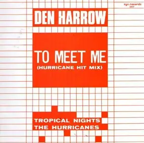 Den Harrow - To Meet Me (Hurricane Hit Mix) / Tropical Nights
