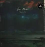 Denai Moore - The Lake