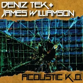 James Williamson - Acoustic K.O.