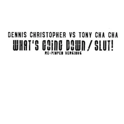 Dennis Christopher vs. Tony Cha Cha - What's Going Down / Slut! Re-Pimped Versions
