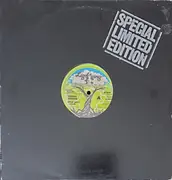 12inch Vinyl Single - Dennis Brown - Equal Rights