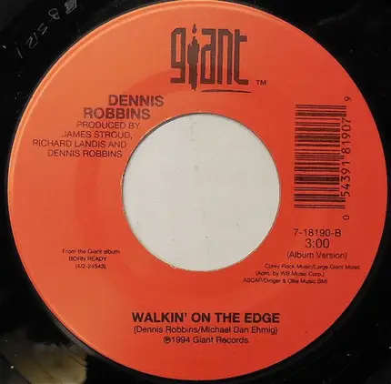 Dennis Robbins - Travelin' Music