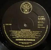 LP - Dennis Waterman - Waterman