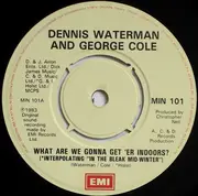 7'' - Dennis Waterman & George Cole - What Are We Gonna Get 'Er Indoors?