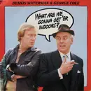 7'' - Dennis Waterman & George Cole - What Are We Gonna Get 'Er Indoors?