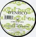 12inch Vinyl Single - D'Enrico - House Of Love
