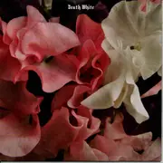 7inch Vinyl Single - Death White - When We Were Young - EPwhite pressing