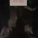 LP - Death Grips - No Love Deep Web - Mispress + Insert