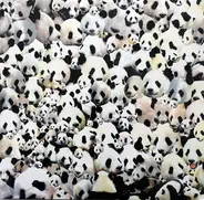 Death Sentence: Panda! - Puppy, Kitty, Or Both