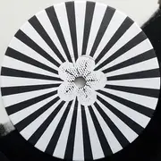 10'' - Death Sentence: Panda! - Puppy, Kitty, Or Both - Half black & white Vinyl