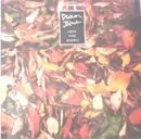 12inch Vinyl Single - Deacon Blue - Love And Regret