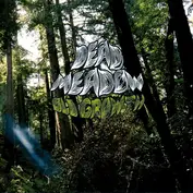 Dead Meadow