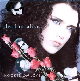Dead or Alive - Hooked On Love