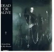 Dead or Alive - Something In My House