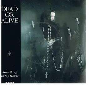 Dead or Alive - Something In My House