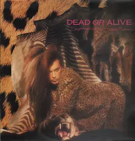 Dead or Alive - Sophisticated Boom Boom