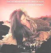 12'' - Dead Or Alive - That's The Way (I Like It) (Dance Version)