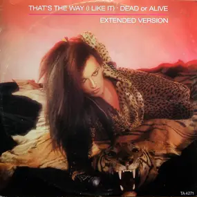 Dead or Alive - That's The Way (I Like It)