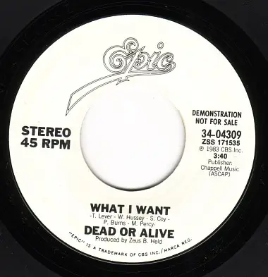Dead Or Alive - What I Want