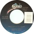 7inch Vinyl Single - Dead Or Alive - Something In My House - No Picture Sleeve