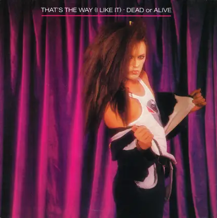 Dead Or Alive - That's The Way (I Like It)