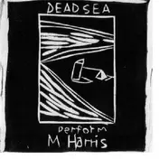 The Dead C - Perform M Harris