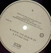 LP - Dead Can Dance - Within The Realm Of A Dying Sun