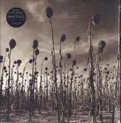 Dead Can Dance - Anastasis