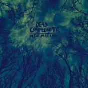 dead confederate - In the Marrow