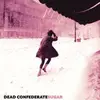 LP - Dead Confederate - Sugar