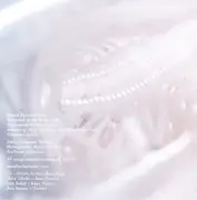 CD - Dead Leaf Echo - Truth