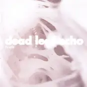 Dead Leaf Echo - Truth